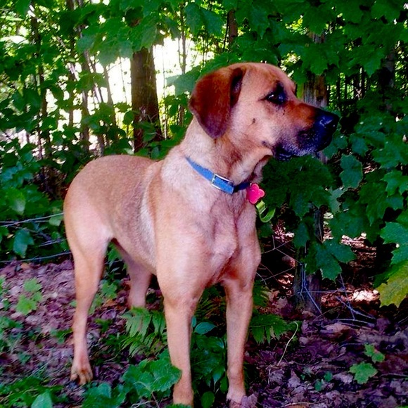 Meet your Posher, Boutiq Maya - Picture 2 of 8